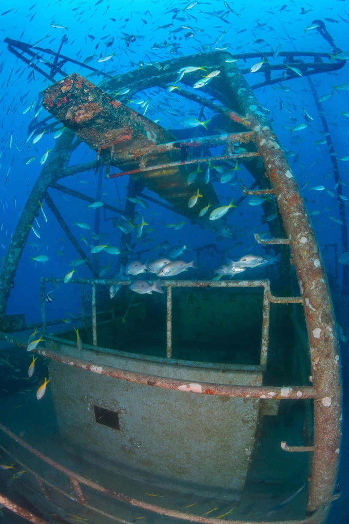 Cá bơi lội quanh một chiếc tàu đắm dưới Vịnh Thái Lan. Ảnh: Global Reef