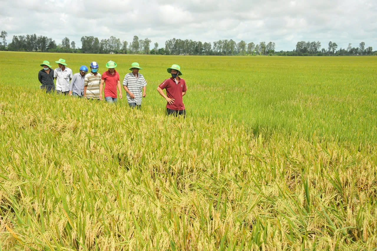 Bứt lên phía trước bằng nông nghiệp xanh - Ảnh 1. Bứt lên phía trước bằng nông nghiệp xanh - Ảnh 1.