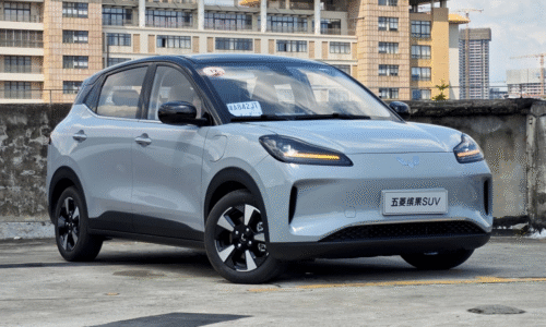 Nhà phân phối xe điện Wuling lãi gần 2 tỷ đồng