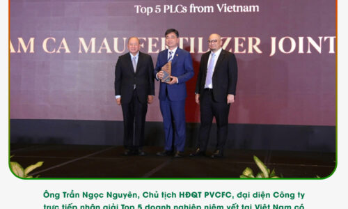 Phân bón Cà Mau: “Ngược dòng” để bứt phá