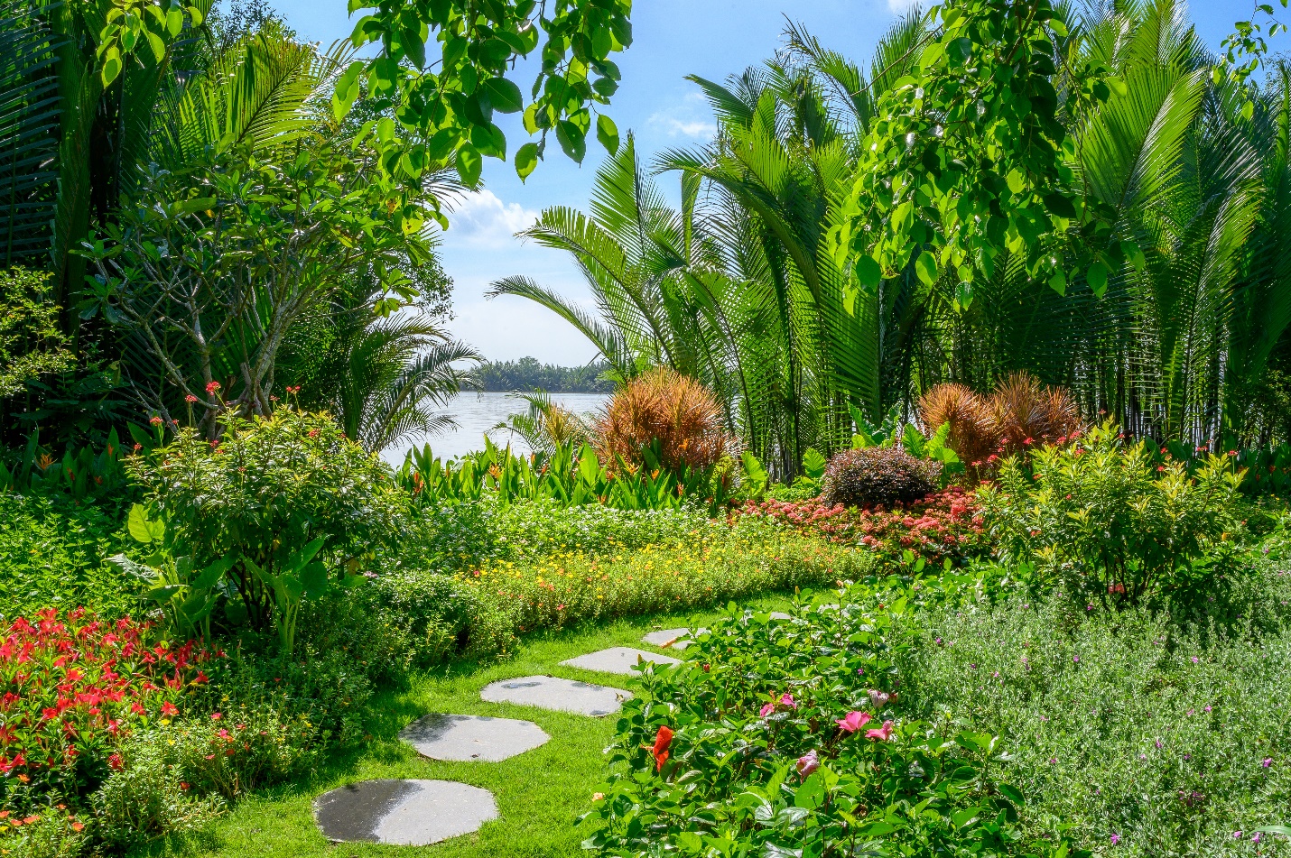 Giải bài toán thiếu thiên nhiên trong không gian sống- Ảnh 7. Giải bài toán thiếu thiên nhiên trong không gian sống- Ảnh 7.