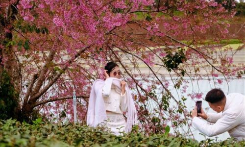 Điểm đến hấp dẫn, sôi động dịp đầu năm mới 2026