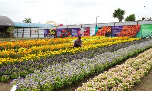 Phát huy bản sắc văn hóa – sinh thái, hướng tới phát triển du lịch bền vững