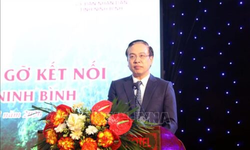 Tăng cường gắn kết, phát huy hiệu quả nguồn lực kiều bào
