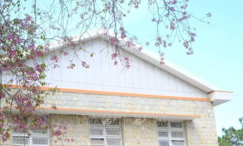 Thăm giảng đường ‘đẹp không góc chết’ ngay lòng Đà Lạt