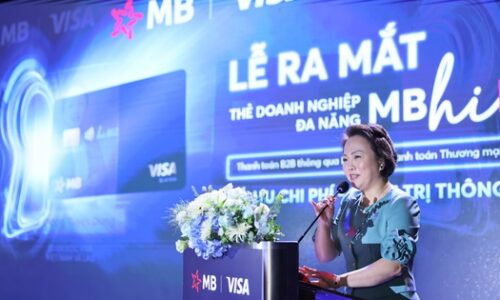 Visa và các ngân hàng ra mắt Nền tảng thanh toán thương mại toàn cầu | Doanh nhân | Tài Chính