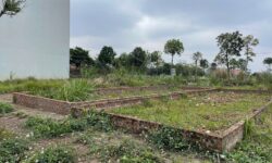 Xu hướng “săn” đất nền vùng ven để đầu tư sinh lời