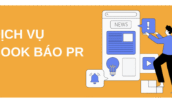 Dịch vụ viết bài PR đăng báo DanaSEO – Tối ưu nội dung, tăng độ tin cậy thương hiệu | Số hóa | Tài Chính